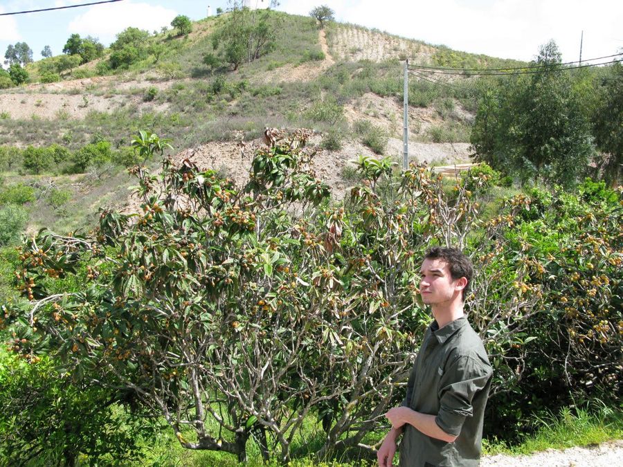 gal/2008-04 Portugal/Adrien/0099.jpg